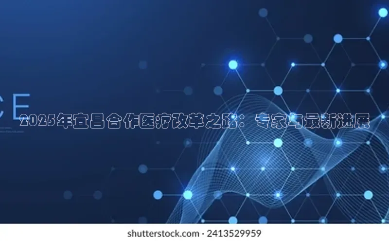 杏宇代理登录中心